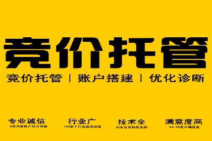 某公司通过竞价SEM优化搜索引擎排名案例